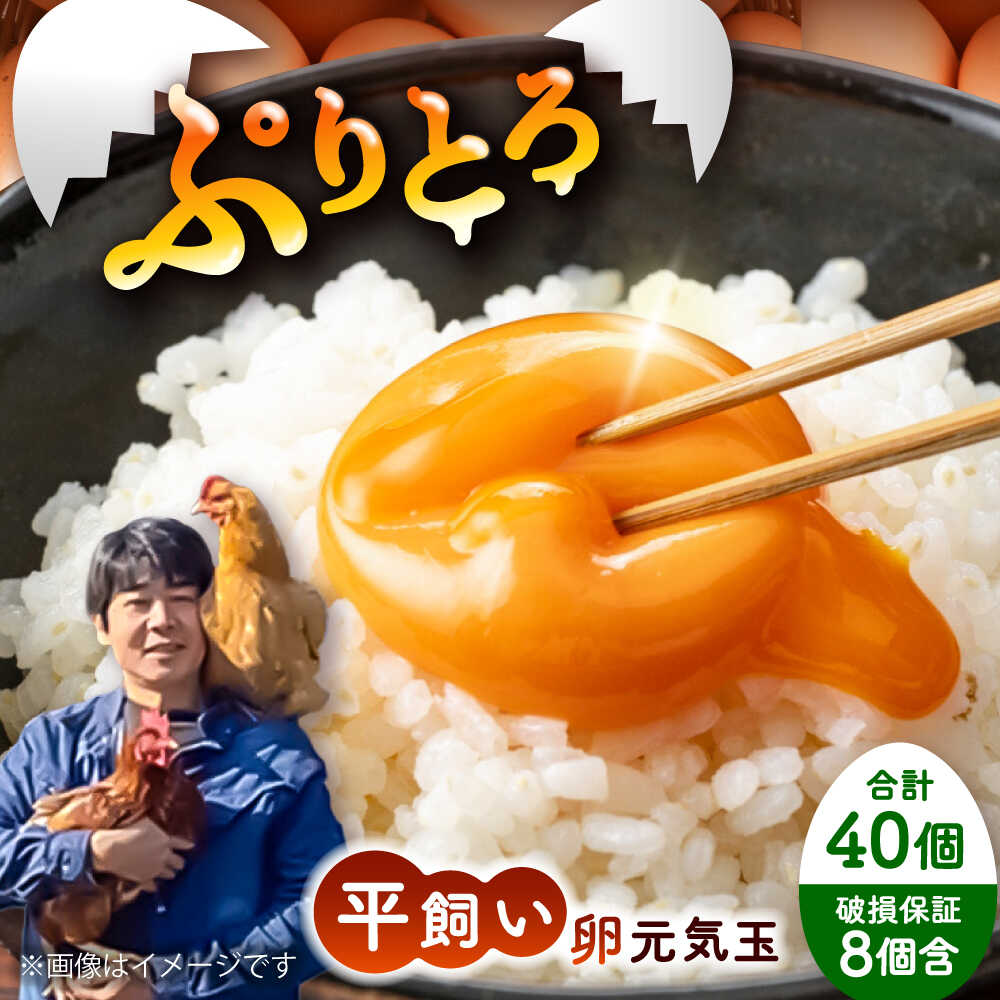 【ふるさと納税】平飼い新鮮たまご 元気玉 計40個(10個×4パック) / 卵 ぷりぷり 新鮮 平飼い 自然飼育 コク 甘み 玉子 オムレツ たまごかけごはん 朝食 朝ごはん 鶏卵 平飼い 濃厚 こく 熊本県 菊陽町【ぴよっこファーム】[BHAP002]