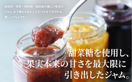 幸せのとろける贅沢食ぱん2本とブルーベリージャム1個のセット