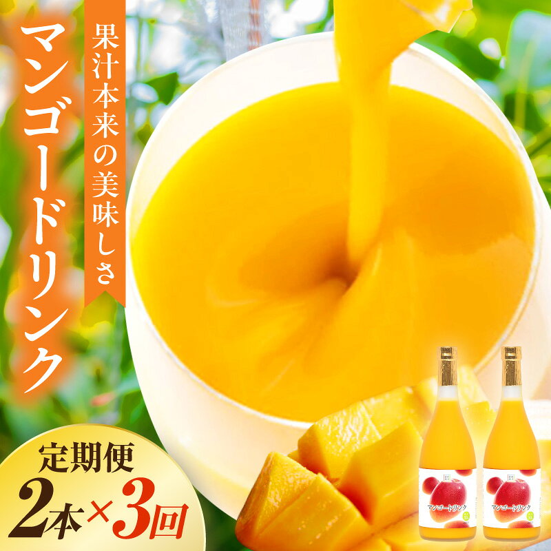 【ふるさと納税】【定期便・全3回】まるでマンゴーをたべているような！マンゴードリンク(720ml×2本)×3回 トロっとした口当たりが格別 ドリンク フルーツドリンク 果汁入り飲料 トロピカルジュース マンゴー ジュース 贈答 贈り物 ギフト プレゼント 宮崎果汁 串間市