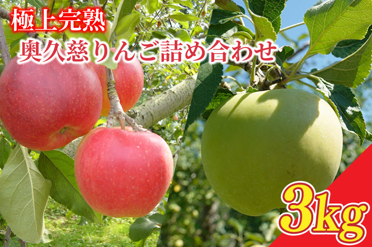 
            【2025年先行予約】樹上完熟の奥久慈りんご詰め合わせ　園主おまかせ約3kg（6～14玉）【2025年10月上旬頃より順次発送予定】斉藤りんご園第2直売所｜茨城県 大子町 林檎 果物 フルーツ 旬（CG001）
          
