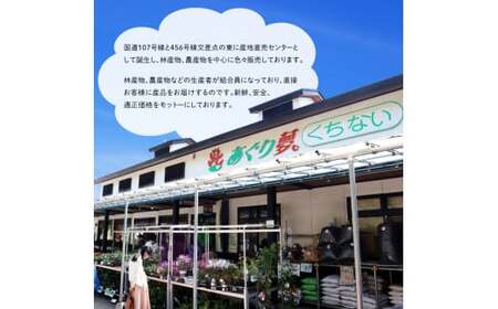 【 令和8年産 】くちない米 ( こがねもち もち米 ) 3kg 精米 こがねもち 岩手県 北上市 B0412 国産 東北 岩手 餅 米 こめ 産直 2026年 R8年 