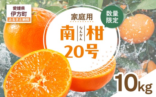 【先行受付】【数量限定】【家庭用】南柑20号（生果）10kg（2026年12月上旬頃より順次発送）  【ふるさと納税 人気 おすすめ ランキング 柑橘 みかん ミカン 南柑20号 蜜柑 果物 生果 フルーツ 家庭用 Y.ONE農園 愛媛県産 愛媛県 伊方町 送料無料】 IKTQ012
