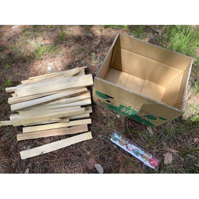 ふるさと納税 伊那市 信州産焚き付け用薪　カラフルでコロコロした着火剤付き(6個入)　薪約3キロ×4箱 |  | 01