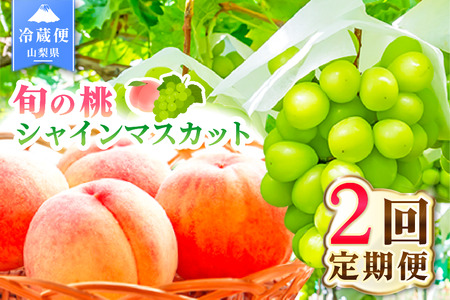 【2026年発送 先行予約】2回定期便 旬のフルーツ定期便（桃2㎏・シャインマスカット2～3房）180-022-26y