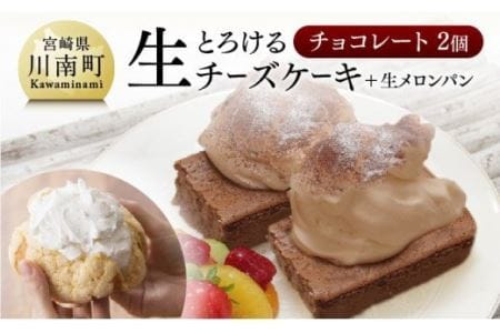 『押川春月堂本店』とろける生チーズケーキセット（チョコ×２個）【スイーツ ケーキ チーズケーキ チョコ 洋菓子ケーキ スプーンでケーキ  おまけつきケーキ】
