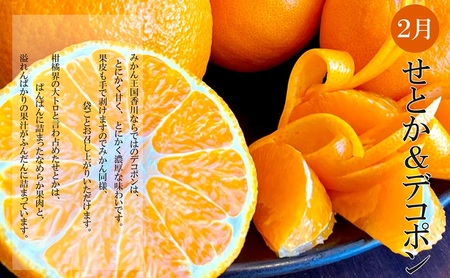 冬のいいとこどり定期便【全3回】 果物 フルーツ デザート 食後 冬のフルーツ 冬の果物 小原紅早生 さぬき姫 いちご せとか デコポン 冬の味覚