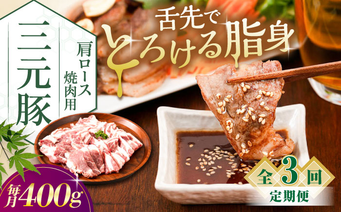
            【全3回定期便】平田牧場 肩ロース 焼肉用 400g (200g×2P)《喜茂別町》【平田牧場】 肉 豚肉 ロース 焼肉 スライス 冷凍配送 定期便 北海道 平田牧場 三元豚  [AJAP148] 42000 42000円
          