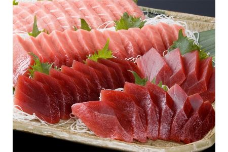 焼津 天然 南 まぐろ 中トロ 付き セット3 (a50-095)