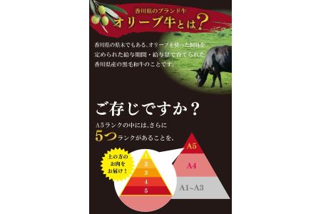 牛肉 ロース 牛肉 ステーキ 牛肉 国産 牛肉 黒毛和牛 牛肉 A5 牛肉 オリーブ牛 牛肉 冷凍 牛肉