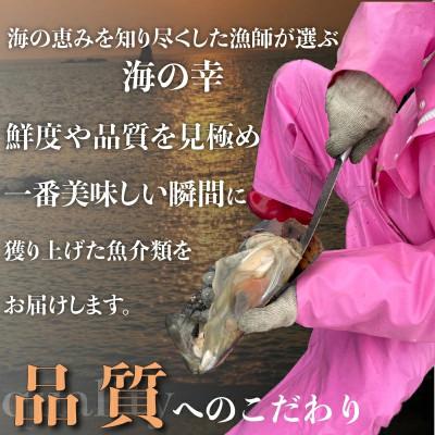 ふるさと納税 南知多町 愛知県産　ジャンボ平貝(タイラギ)むき身　3個 |  | 02