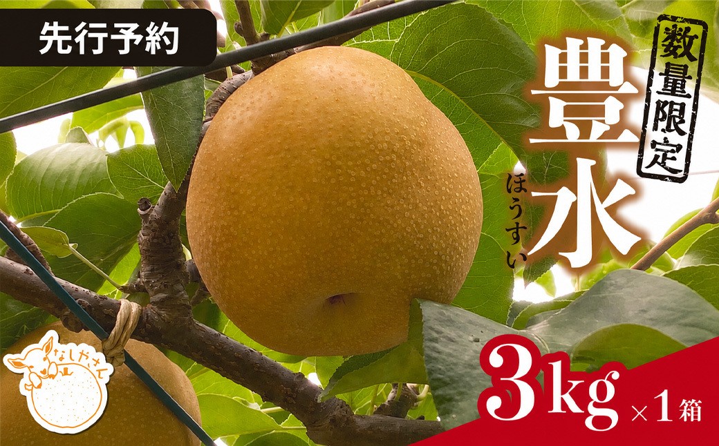 
                  ＼先行予約 / 限定4箱／ 梨 豊水 約3kg(5～7個入り) 東松山市産 | なし ナシ ほうすい 果物 フルーツ 新鮮 自然栽培 農園直送 産地直送 農家直送 限定 期間限定 数量限定 贈答 贈り物 プレゼント ギフト 旬 甘い デザート お取り寄せ なしやさん 埼玉県 東松山市
                