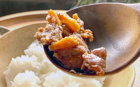【冷凍】合鴨テリヤキ丼の素×12パック　滋賀県長浜市/株式会社 一湖房[AQCB018]