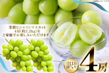 【期間限定発送】 シャインマスカット 訳あり 4房 2.2kg [もん前の里 山形県 高畠町 tk06ays960001] フルーツ 果物 くだもの ぶどう ブドウ 葡萄 2.2キロ 甘い