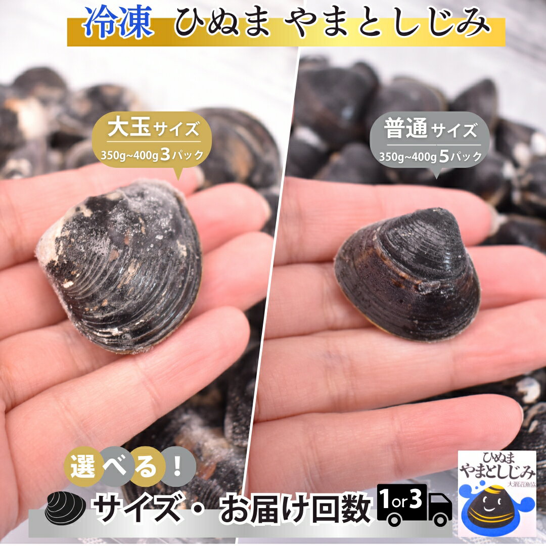 冷凍 やまとしじみ 大玉 3パック 1パック350g～400g