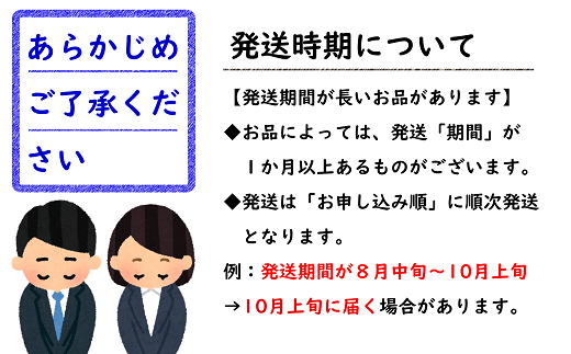 【令和8年産先行予約】 シャインマスカット ＆ ピオーネ 計