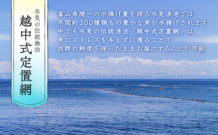 冷蔵刺身詰め合わせ（柵）　4,5人前（4,5種類）　富山県 氷見市 刺身 詰め合わせ 魚介 肴