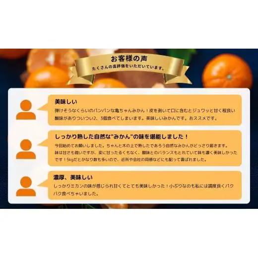 温州みかん 皮が薄い 甘み凝縮 約3kg 約30～35個 [先行予約 2026年11月中旬～発送] 瀬戸内 亀ちゃんみかん S～M玉 広島県 大崎上島町 国産 濃厚 果物 フルーツ ギフト 家庭用 送