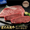 【ふるさと納税】 800g ステーキ 牛肉 ビーフ サーロイン ヒレ 山梨県産 富士山麓牛