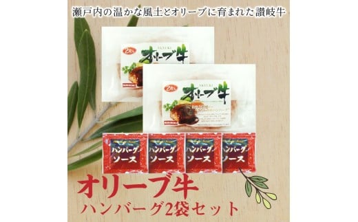 M04-0074_【ふるさと納税】オリーブ牛 ハンバーグ2袋セット  お試し