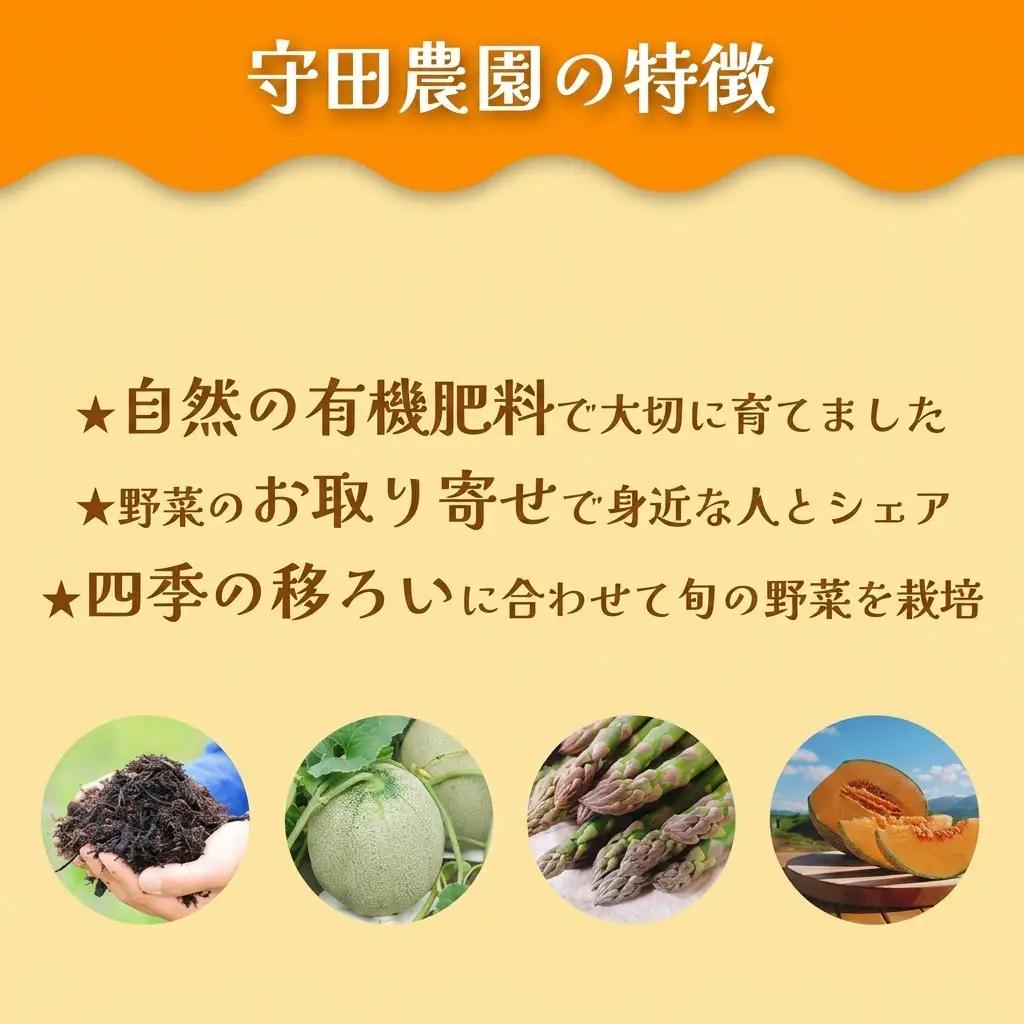 赤肉メロン 糖度15度以上 富良野産 赤肉メロン【8kg 1箱】