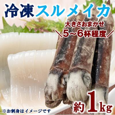 ふるさと納税 普代村 三陸水産 冷凍スルメイカ 約1kg (5〜6杯程度)
