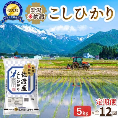 ふるさと納税 佐渡市 【毎月定期便】新潟米物語佐渡産コシヒカリ5kg全12回