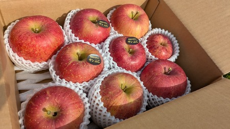 先行予約 ☆当園人気No.1☆ りんごの王様 家庭用「サンふじ」約3kg りんご