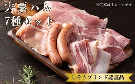 J60　宍粟 ハム 7種 セット ＆ あらびきフランク カレー セット【 数量限定 ハム ソーセージ 冷凍 カレー ソーセージ レストラン 兵庫県 宍粟市 しそうし】