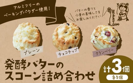 星子スコーン 行列ができる スコーン 詰め合わせ 3種 3個 プレーン チョコチップ クランベリー 《30日以内に出荷予定(土日祝除く)》 星子スコーン 千葉県 流山市 おやつ お中元 お菓子