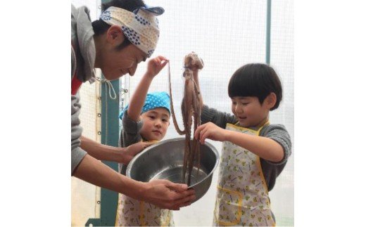 【数量限定】蒲郡海鮮市場　うんまいタコのゆでたて体験（ご来店・体験プラン)＋ご当地名産品土産つき（めひかり味噌・アカザエビせんべい・ガマゴリうどん）_【G0161】