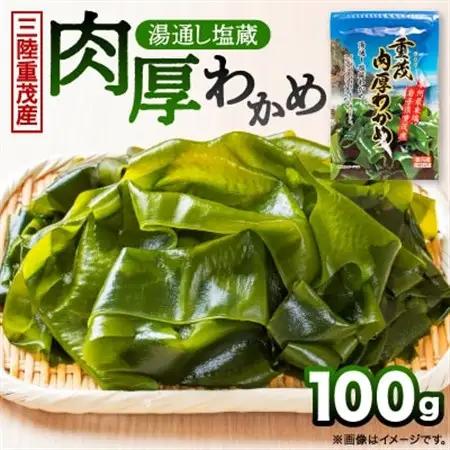 【三陸重茂産わかめ】湯通し塩蔵　肉厚わかめ　100g【配送不可地域：離島】【1685356】