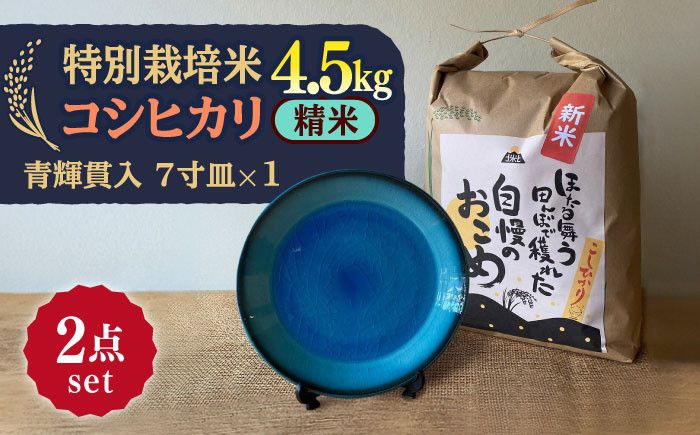 
            【令和7年産】 精米 コシヒカリ 特別栽培米 （4.5kg）+ 【美濃焼】 青輝貫入 7寸皿 多治見市 / 山松加藤松治郎商店 [TEU053]
          
