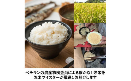 3カ月定期便 千葉県産コシヒカリ5kg こしひかり