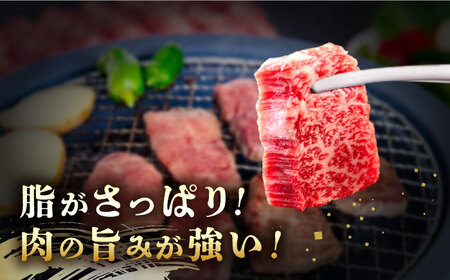 長崎和牛 あか牛 焼肉用 500g《対馬市》【高田牧場】 対馬 牛 和牛 焼肉 冷凍配送[WCR005]