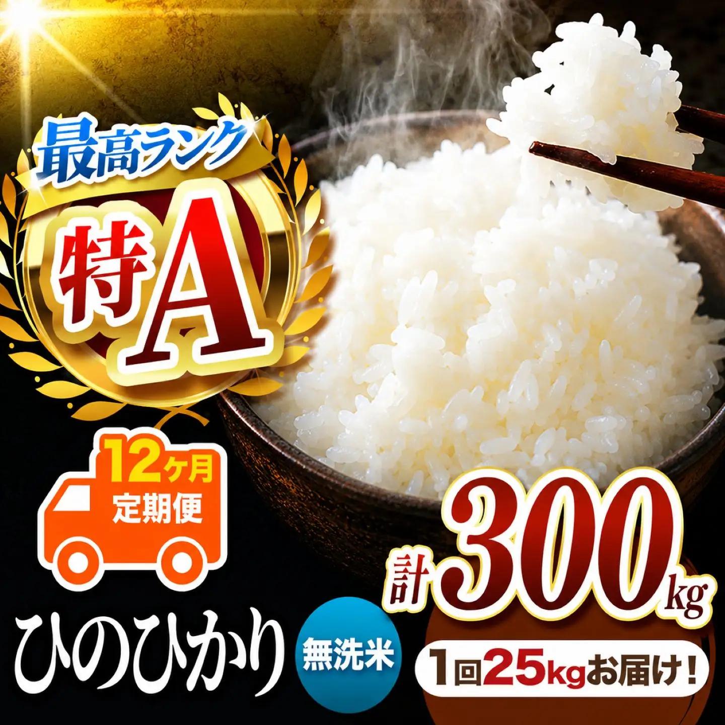 【 定期便 12回 】 R7年産 熊本県産 無洗米 ひのひかり 25kg