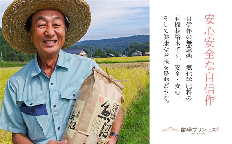 【令和8年産先行予約】魚沼産にじのきらめき 玄米 5kg(5kg×1袋) 有機ＪＡＳ認証米  新潟県津南町 127523-115