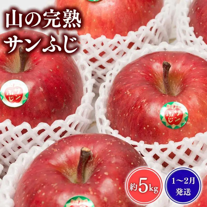 りんご 山の完熟サンふじ 約5kg りんご