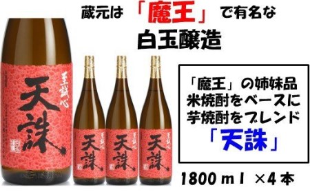 No.3029-1 【魔王の姉妹品】白玉醸造の「天誅」4本セット