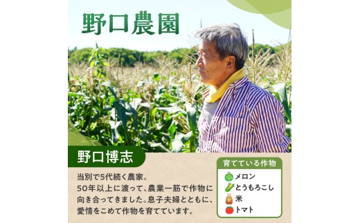 野口農園ななつぼし5kg【3ヶ月定期便】 | お米 北海道産 産地直送 ブランド米 野口農園 国産 精米 白米 米 北海道 当別町