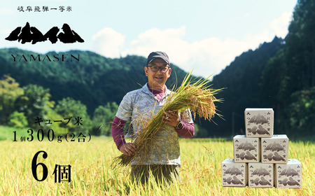 新米予約受付【令和7年産米】すがたらいす 山仙 (いのちの壱) キューブ米 6個 （1個 300g（2合））真空包装 プチギフト ギフト 小分け お裾分け 下呂市金山産 2025年産 お米 精米 米 いのちのいち やません ブランド米 有限会社 すがたらいす【51-23】