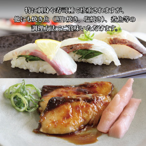 【2024年11月上旬から発送】活じめ！神経抜き！ひらまさフィレ半身1枚（約0.9～1.3㎏） | 鮮魚 刺身 お刺身 お刺し身 魚介 海の幸 冷蔵 ひらまさ ヒラマサ 愛媛県 松山市 【KHN010