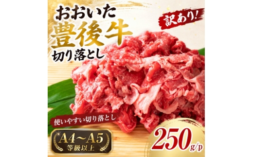 ＜A4～A5＞訳あり!おおいた豊後牛切り落とし 250g【1764438】