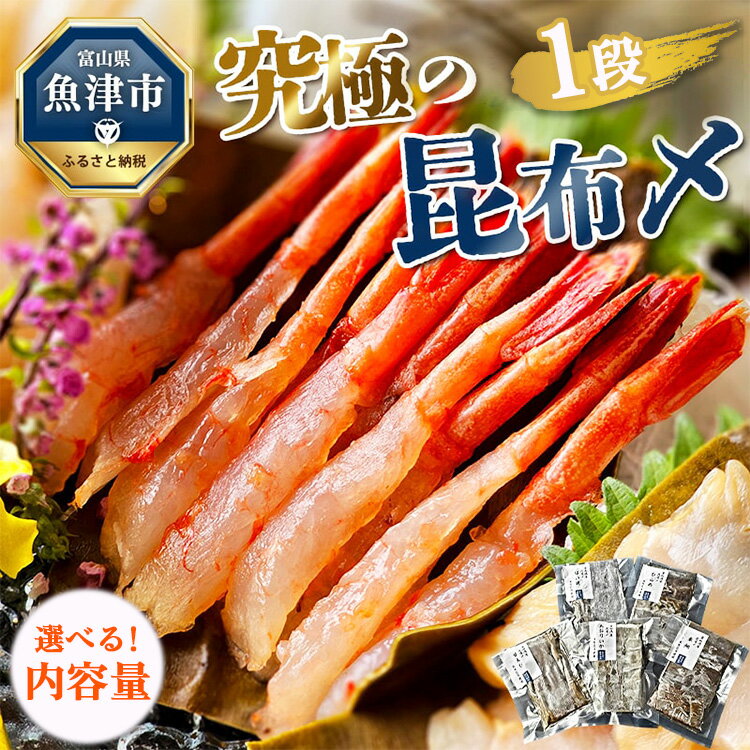 【ふるさと納税】【母の日ギフト対応】＼選べる内容量／ 究極の昆布〆 1段 3～5種盛（急速冷凍品）｜ 魚卸問屋はりたや 富山県魚津市 昆布締め こぶじめ 刺身 天然昆布 魚貝類 郷土料理 つまみ 一品料理 肴 お酒のあて ※北海道・沖縄・離島への配送不可