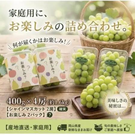 【お楽しみ福袋2026】シャインマスカット+その他の品種(計2-3種・400g×4)【配送不可地域：離島】【1754533】