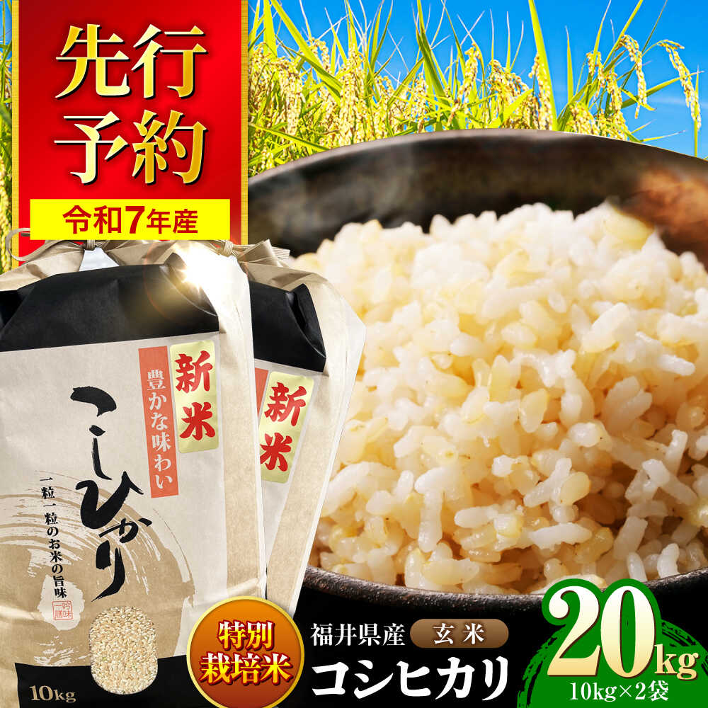 【ふるさと納税】【 先行予約 /9月中旬以降発送】　【令和7年産】 福井県産 特別栽培米4 コシヒカリ 玄米 10kg×2 （20kg） / 米 お米 国産米 / 小浜市 / 北川博司[BFDG003]