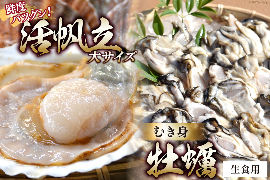 
活帆立8枚 牡蠣むき身 500g セット [かみたいら 宮城県 気仙沼市 20564233] 刺身 ほたて ホタテ かき 牡蠣 冷蔵
