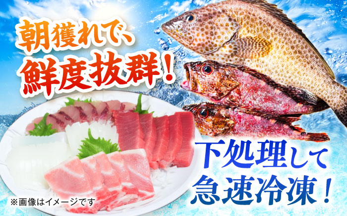 【6回定期便】漁師の極み刺身パック（匠）1皿 五島市/Sun Sea Go Company 魚 おまかせ お任せ 鮮魚 五島列島 [PGL023]