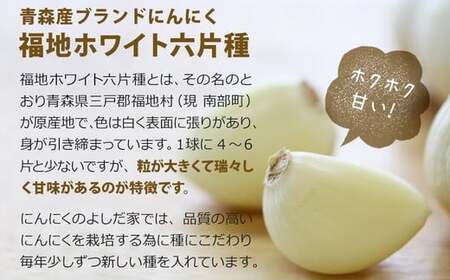 青森県産にんにく使用！ 七味にんにく 75g 3本セット 調味料
