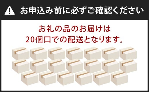 【20個口】 SAKUTTO 携帯浄水器 1,000個セット 防災グッズ 日本正規品 浄水器 災害対策 防災 アウトドア 福岡県 北九州市