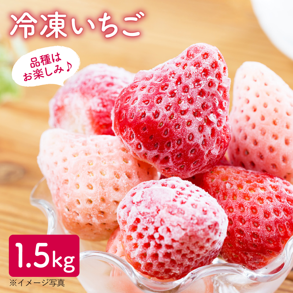 【先行予約 2027年5月～発送】冷凍いちご おまかせ 詰め合わせ 1.5kg【岸川農園】 [IAP001]